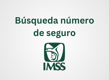 Búsqueda número de seguro